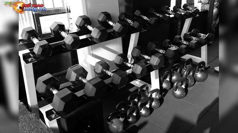 Cách Khắc Phục Đau Lưng Khi Squat